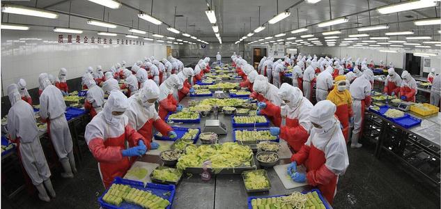 北京顺义食品工程 